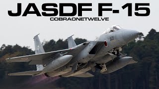 Eagle Aggressors | JASDF F-15J