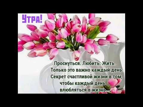 Доброе утро🌺🌺🌺