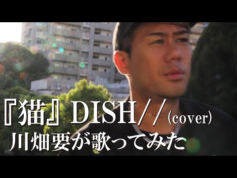 川畑要が【「猫」 DISH//】を歌ってみた #short