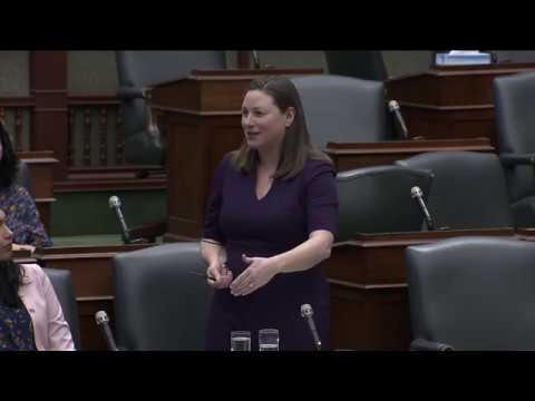 MPP Fife speaking in support of Bill 65, the Protect our Pets Act