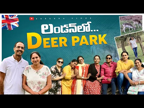 Deer Park in London|Knole Park|Telugu Vlogs|Surekha Telugu Vlogs from London