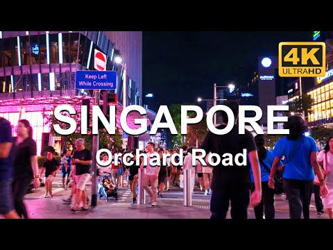 Orchard Road Singapore Night Walk October 2024 | 4K HRD Walking Tour