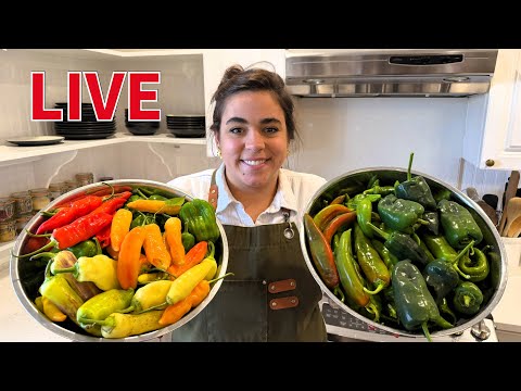 Preserving the last of the pepper harvest together - LIVE!