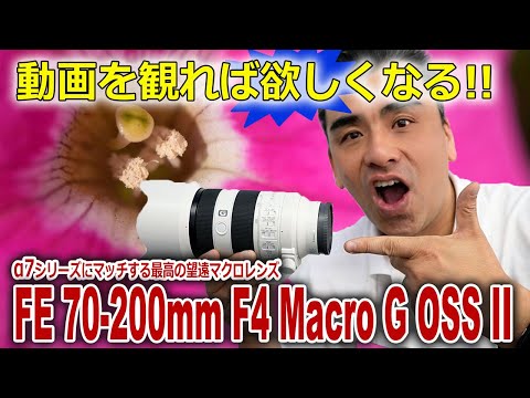 待望の望遠マクロGレンズ「SEL70200G2」９年掛かってⅡ型の発売!!コレは買い!!