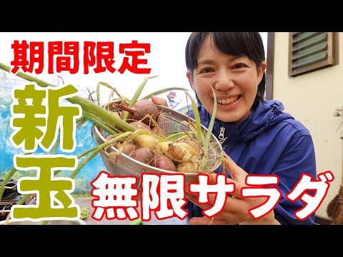 【美味しいのは今だけ】採れたての新玉ねぎを一番美味しく＆一番簡単な食べ方でいただく！