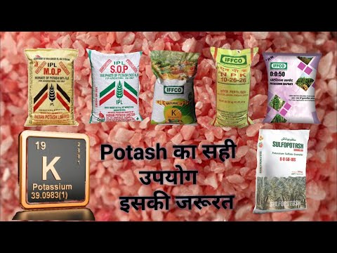 MOP  SOP  Npk 10 26 26 potash  fertilizerपोटाश क्यों जरूरी है। potassium