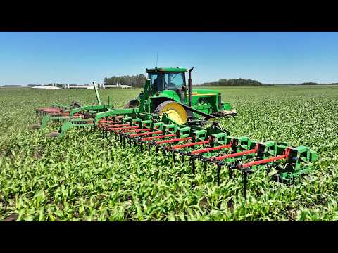 The Battle of the Weeds | Custom Organic Row Crop Cultivator |