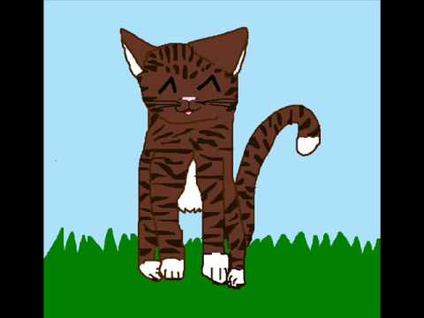 Wildpaw's purrrfect contest (Retarted Remake!)