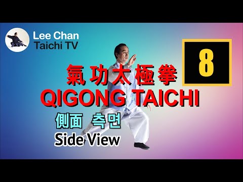 【Qigong Taichi】 Following(Side View) 【氣功太極拳】請跟着做(側面) 【기공타이치】 따라하기(측면)