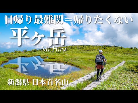 【新潟遠征】めっちゃキツいし下山困難な平ヶ岳