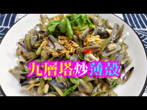 九層塔炒薄殼🐚 | 請訂閱支持🤗