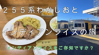 ２５５系わかしおに乗ってインディアンライスを食べてきた