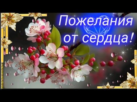 ДОБРА И ТЕПЛОТЫ! 🌷🌈💫 #музыкальнаяоткрытка #ХОРОШЕГОДНЯ ~ПРИВЕТ СЕРДЕЧНЫЙ ОТМЕНЯ ❤