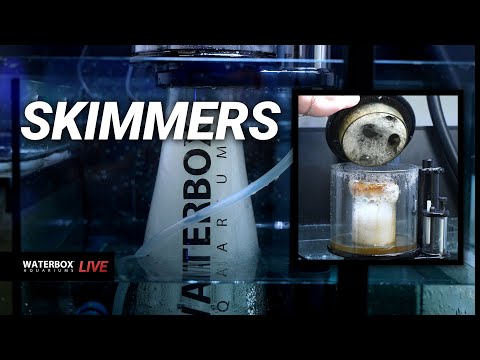 Protein Skimmers, Everything you need to know.