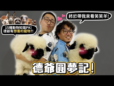 德爺圓夢記!終於帶德爺看笑笑羊!15種動物知識PK!德爺想養迷你驢?鴕鳥搶奪許伯眼鏡?狐蒙!浣熊!旱獺!駱馬!【許伯簡芝】#ZV升級VLOG