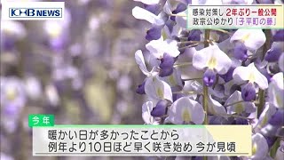 伊達政宗公ゆかりの“藤の花”仙台で2年ぶり公開（20210504OA）