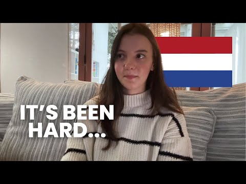 Update on my dutch learning : losing motivation + how I still learn