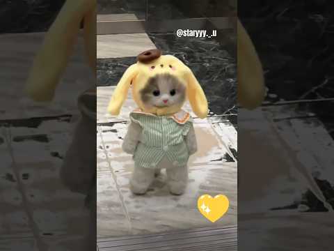 💛💚Meow💛💚 #cat #cats #catlover #catshorts #funnyshorts #cutecat #cuteanimals #cutebaby #viralshorts