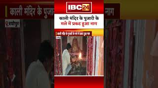 मंदिर के पुजारी के गले में प्रकट हुआ नाग। #sheopur #tejadashmi #mpnews #shortsvideo