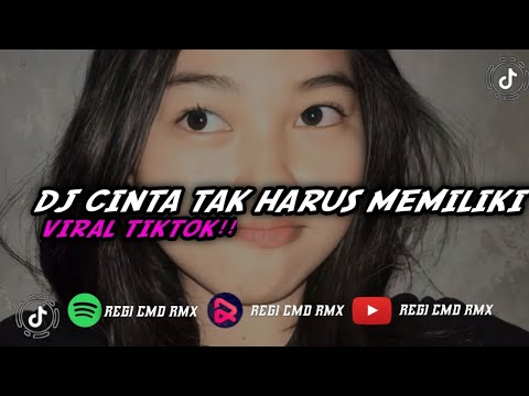 DJ CINTA TAK HARUS MEMILIKI FYP TIK TOK