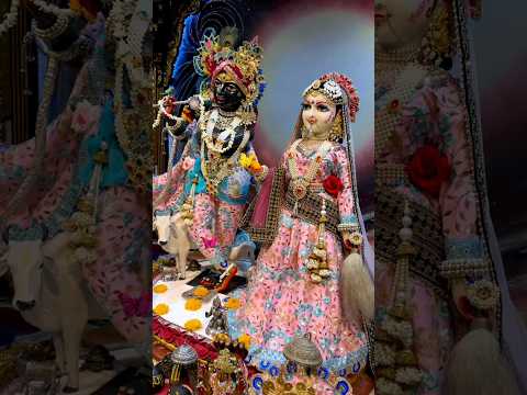 Krishna krishna kare atma meri  || Jai Radhe Krishna Status 4K || #shortsfeed #shorts #radhakrishna