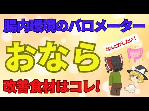 やたらとおならがしたくなる、においがヤバい、人には言えないこの悩みどうにかしたいと思っている方！食習慣で改善できるんです！いいおならと悪いおなら、その違いはアレです。【ゆっくり解説】