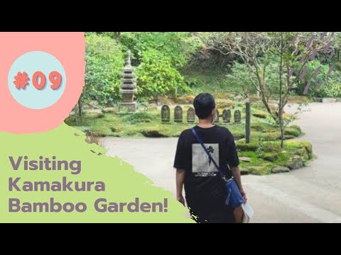 Kamakura Bamboo Garden