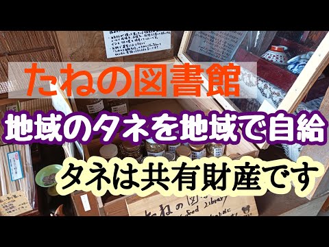 【地域でたねの自給】たねの図書館を自作して設置しにゆく /雑穀菜食レストラン「はなうた」の美味しいランチ