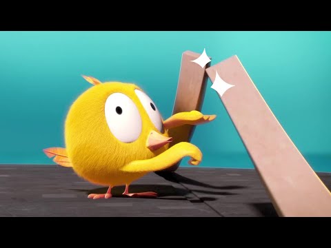 Oops! The mistake | Where's Chicky? | Cartoon Collection in English for Kids | New episodes