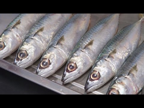 廣東潮汕“魚飯”，不放一點蔥薑酒，魚比飯還香，光吃魚就飽了