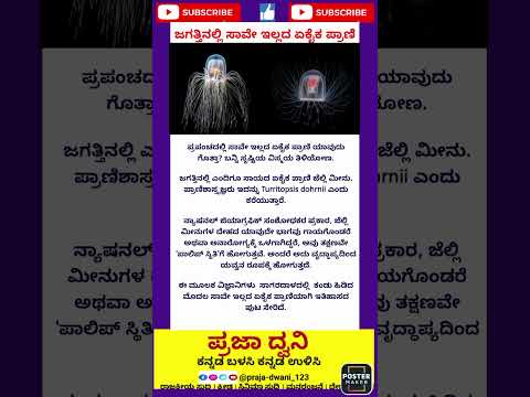 ಪ್ರಾಣಿ 🕵️🕵️#ಕನ್ನಡನ್ಯೂಸ್ #ಕನ್ನಡಸುದ್ದಿಗಳು #karnataka #ಕನ್ನಡ #short