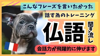 こんなフランス語のフレーズを言いたかった！会話力が飛躍的にアップします！初級〜中級編を聞き流し [devoir] #191