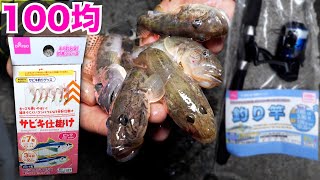 100均の釣具だけでどれだけ釣れるかやってみた【ENG SUB】