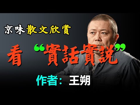 💥王朔的散文欣賞：1、《榜樣的力量是無窮的》，2、別跟我說港臺文化是新文化！，3、看「實話實說」（談王海） #散文 #散文朗讀  #讀書 #聽書 #小說 #有聲書 #文學經典