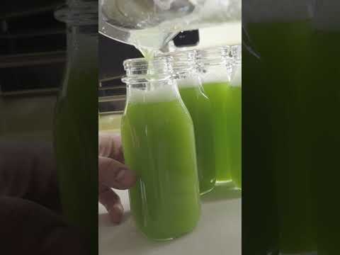 Juicing 3 LBS of Celery in 6 Minutes - Goodnature Hummingbird Pro