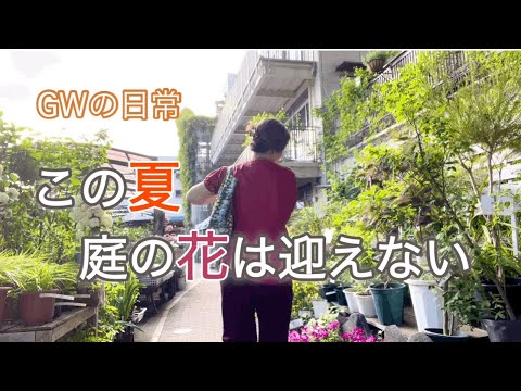 猛暑予想の夏を控えて／今年は夏のお花は諦めます／GW愛犬とのんびり過ごす日常🪴