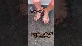 足の角質を食べるお魚ドクターフィッシュやったことある？#ショート #shorts #Doctor Fish