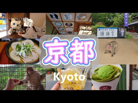 【京都観光／左京区＆嵐山】猫猫寺ってどんなとこ？／外国人観光客で大賑わい!!!モンキーパーク♡／嵐山で食べ歩き♪