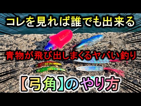 初心者でも簡単に青物を水面爆発させるヤバい釣り…「弓角」のやり方を教えます【ジェットロー】