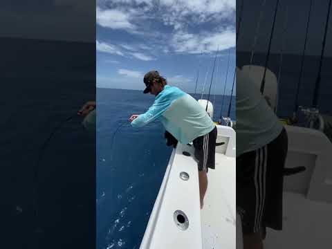 Big grouper on ice fishing pole #shortvideo #shorts #short #icefishing #naples #fishingcharter