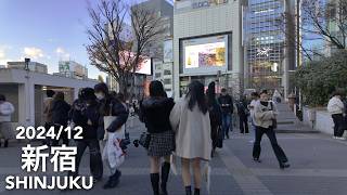 年末の東京: 新宿 - 2024/12