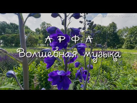 Волшебная музыка  Ирландская арфа, красиво звучит  Музыка для души