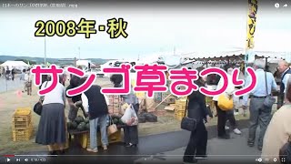 日本一のサンゴ草群落地（能取湖）.mpg