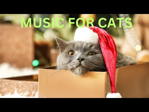 [AD FREE] Holiday Edition: MUSIC FOR CATS & HUMANS - 8 hours of Relaxing and Calming Music 🎶