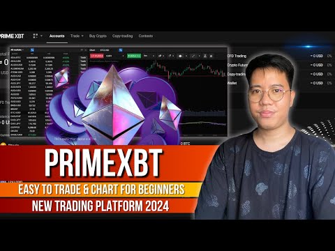 PrimeXBT - The Best Trading Platform for Beginners | How to do Copy Trading & Basic Charts