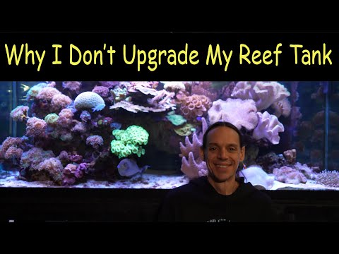 Why I Don't Upgrade My Reef Tank