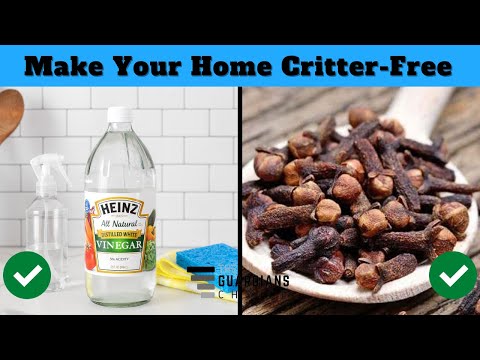 25 Natural Ways to Make Your Home Critter-Free | The Guardians Choice