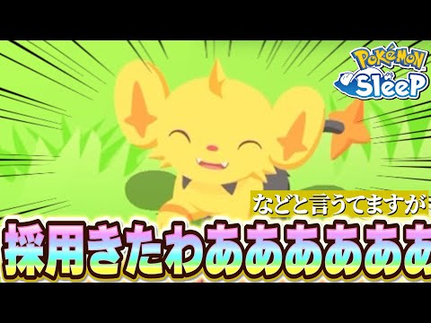 ゴールド旧発電所キャンペーン最終日に色違いのコリンクと対面!!【ポケモンスリープ】