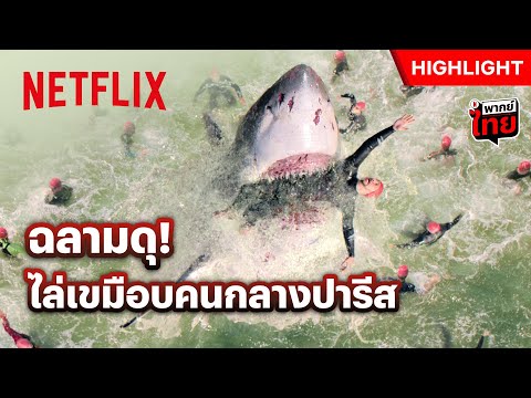 บุฟเฟต์มนุษย์แบบนี้ พี่ฉลามชอบ! - Under Paris | Netflix