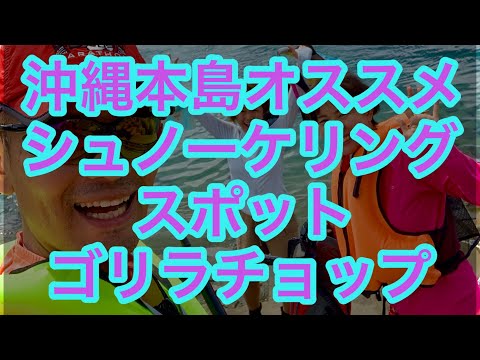 沖縄屈指のシュノーケリングポイントのゴリラチョップにて＠沖縄移住日記・坂田公太郎